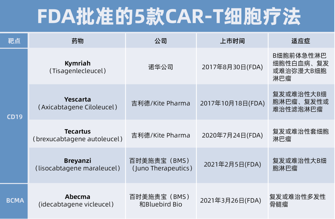 国内首款CAR-T药物获批上市，填补CAR-T治疗空白！
